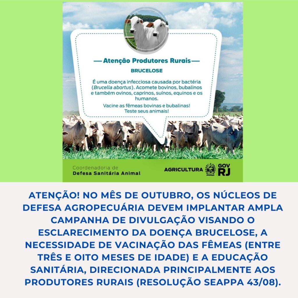 vacinacao