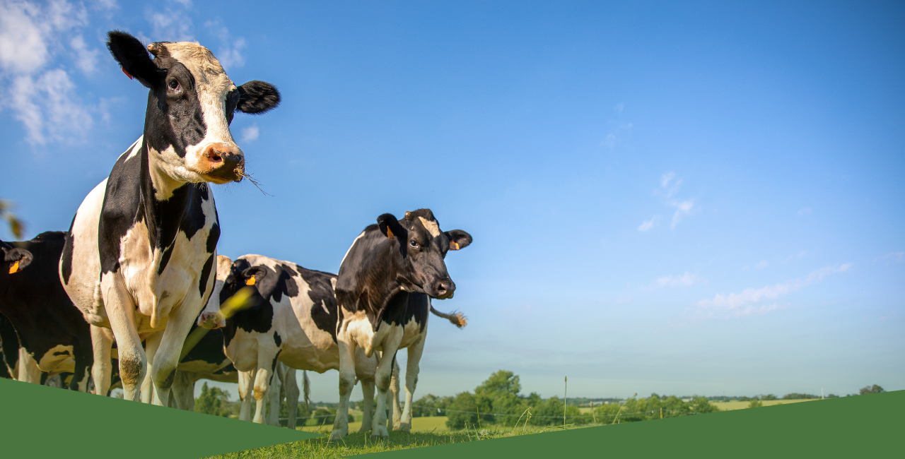 Inscrições para o PNEFA 2023